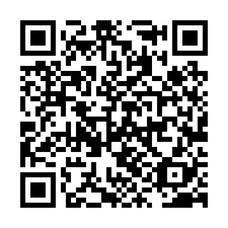 QR code for LQL 228