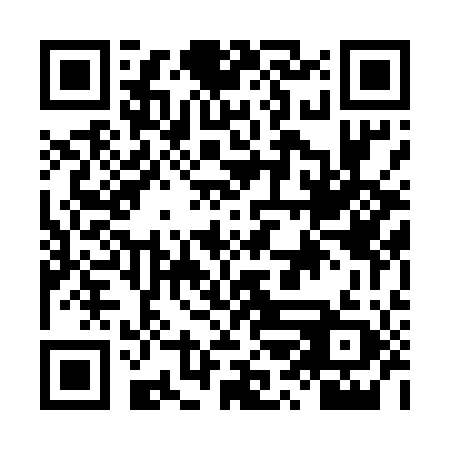 QR code for plate LRD 509