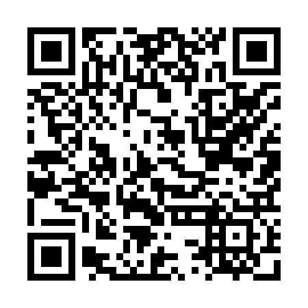 QR code for plate LSM 823