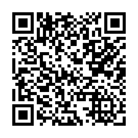 QR code for LSS956