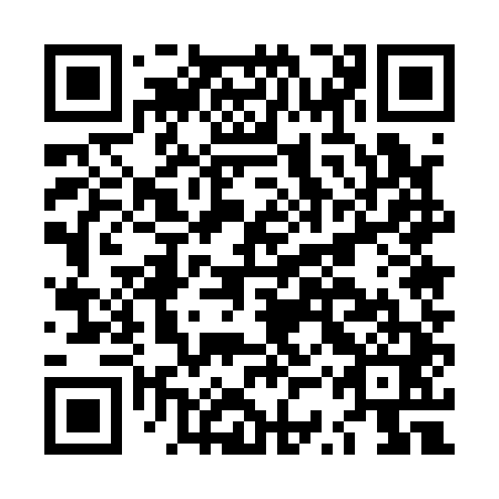 QR code for LSU 141