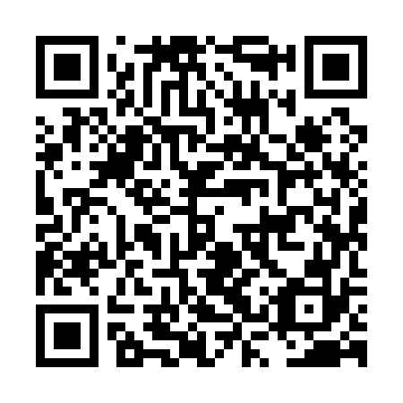 QR code for plate LSY 172