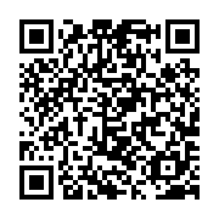 QR code for LUL295