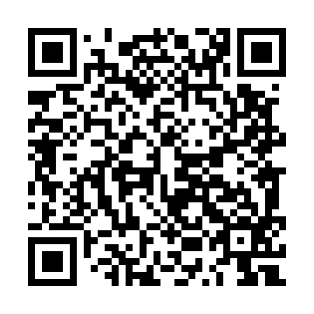 QR code for plate LUL 596