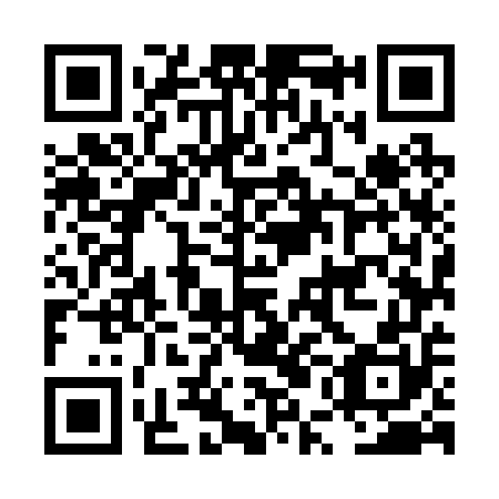 QR code for plate LUM 250