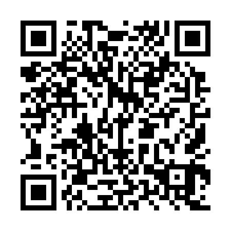 QR code for plate LUY 341