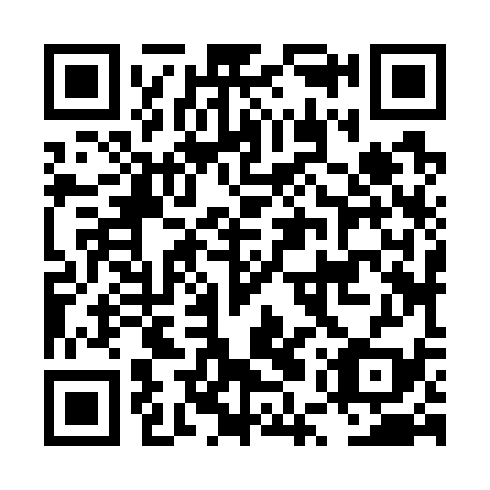 QR code for LUZ 739