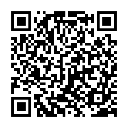 QR code for plate LVG 363