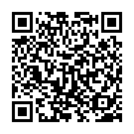 QR code for LVI338