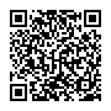 QR code for LVK 313