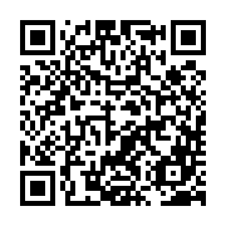 QR code for plate LWR 546