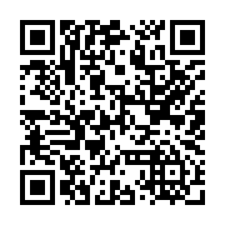 QR code for plate LXI 995