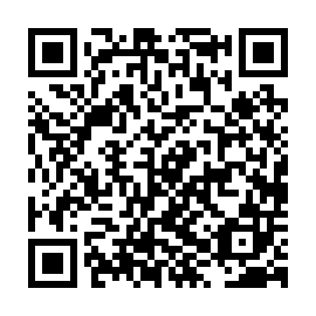 QR code for plate LXP 202