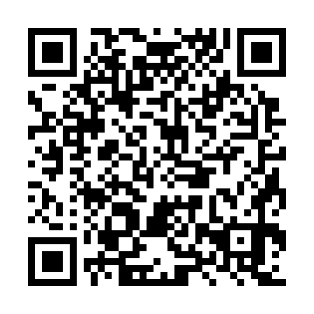 QR code for plate LXS 370