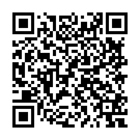 QR code for plate LXY 800