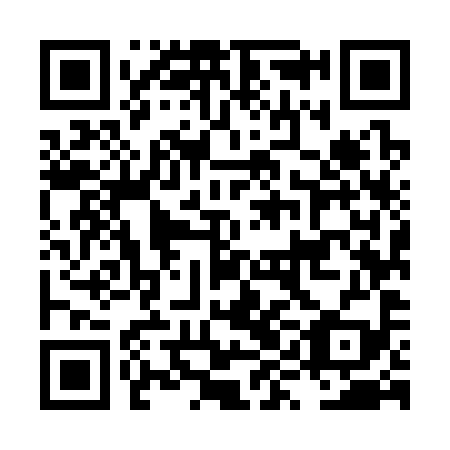 QR code for plate LYM 399