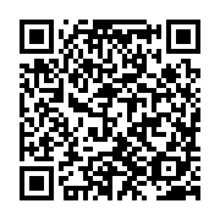 QR code for plate LZJ 388