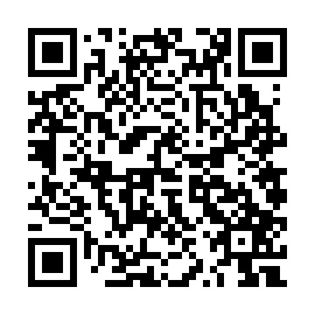 QR code for LZV 307
