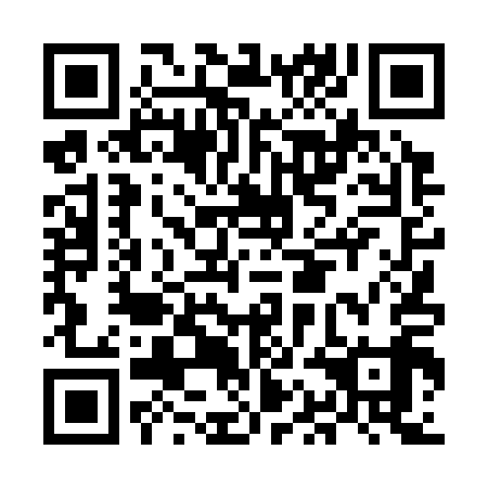 QR code for plate MAD 319