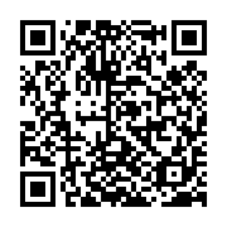 QR code for MAG 490