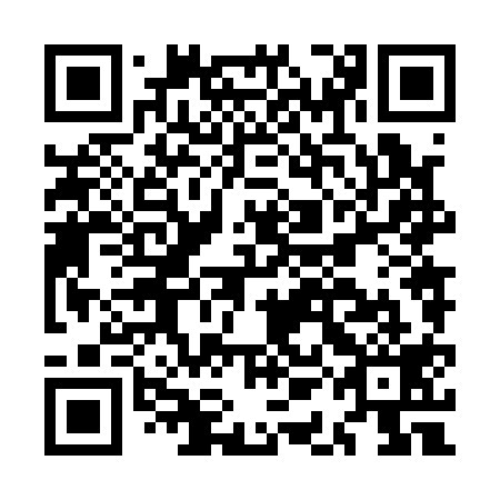 QR code for MAN 119