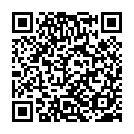 QR code for plate MBG 041
