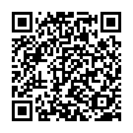 QR code for MDG308