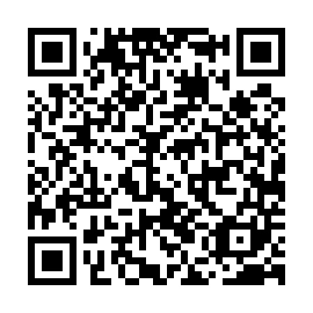QR code for MED 541