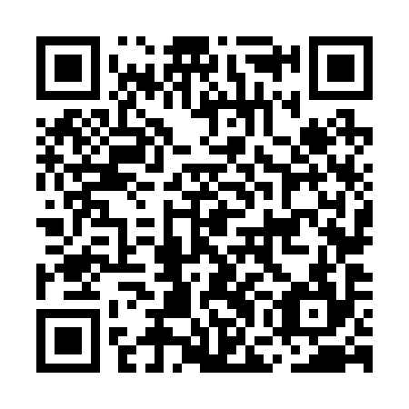 QR code for MGN 294