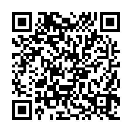 QR code for MIR 142