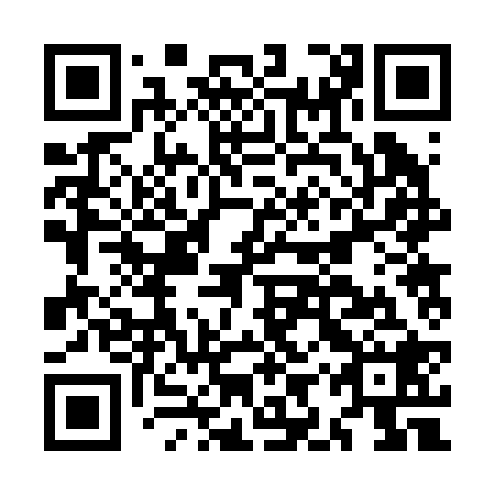 QR code for MIR 228