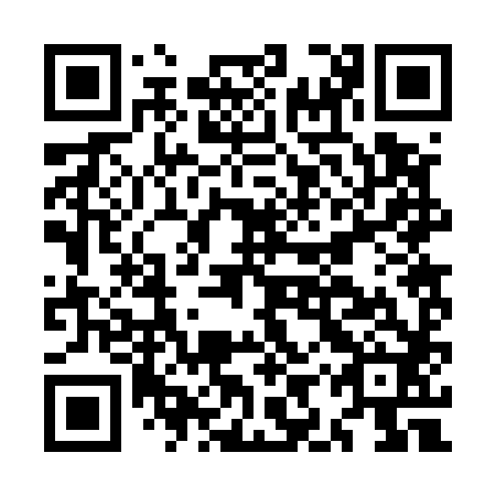 QR code for plate MIR 582