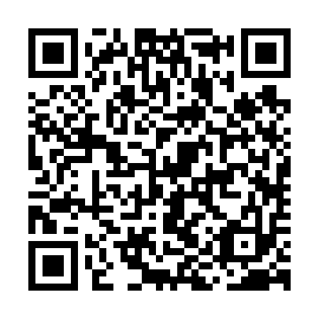 QR code for MIR613