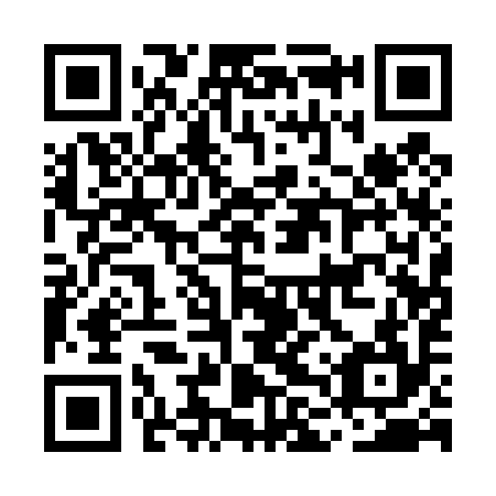 QR code for MLQ 494