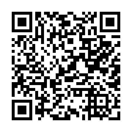 QR code for MLU 491