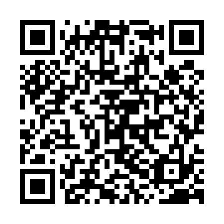 QR code for plate MPO 533