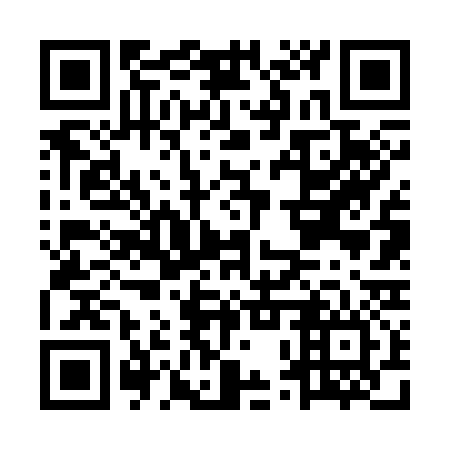 QR code for MPV336
