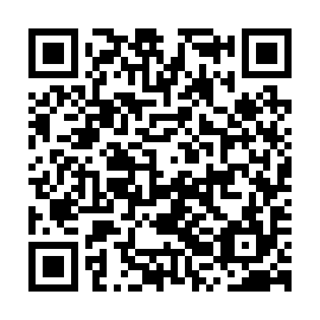 QR code for plate MRG 294