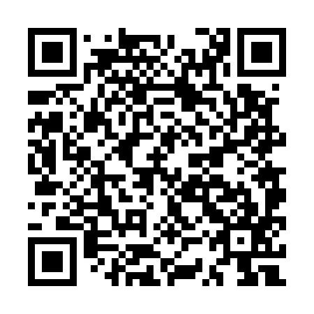 QR code for plate MSV 597