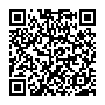 QR code for MWO 295