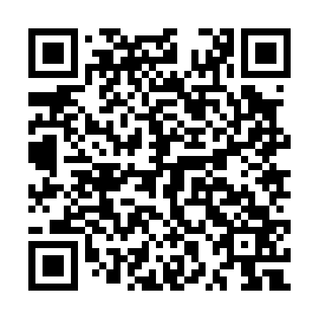 QR code for plate MXJ 063