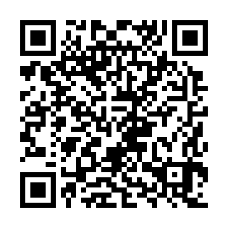 QR code for plate MYP 383
