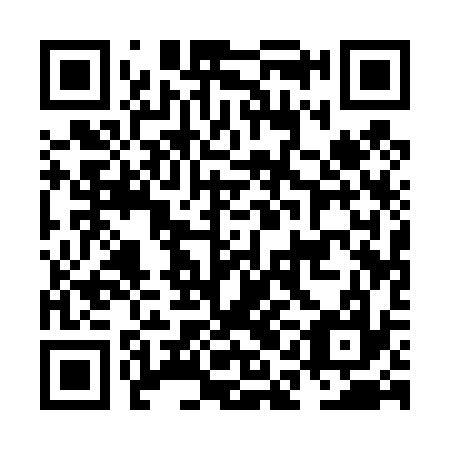 QR code for plate NAA 437