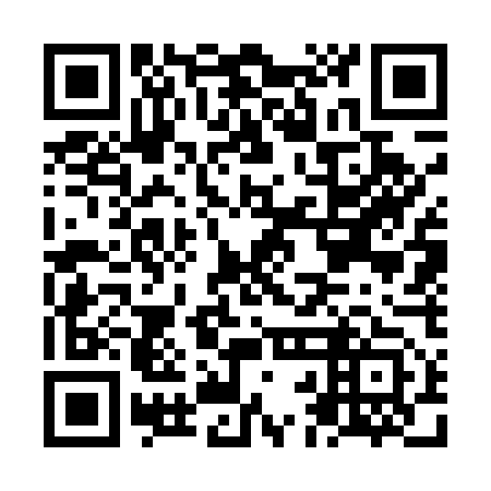QR code for plate NBG 553