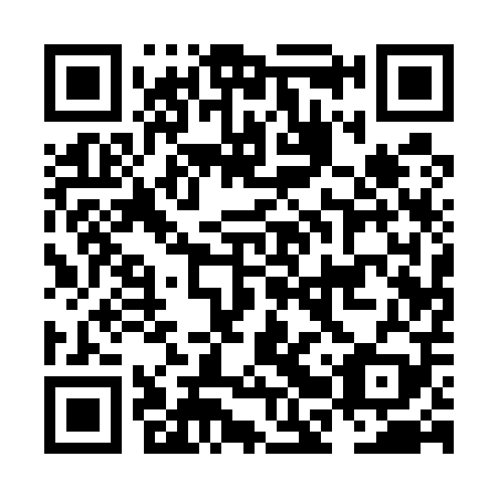 QR code for plate NBQ 509