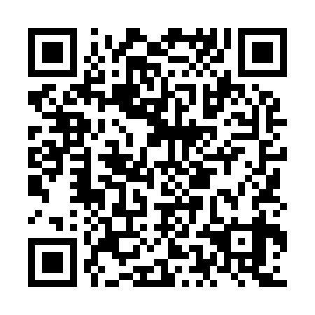 QR code for plate NEL 939
