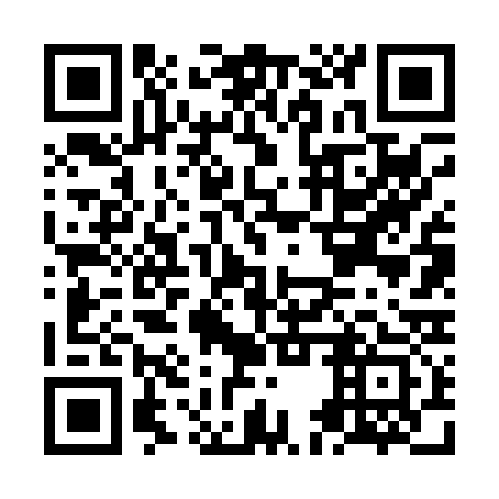 QR code for plate NEV 033