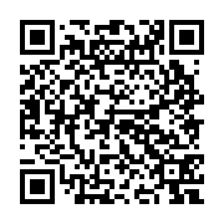 QR code for plate NFH 370