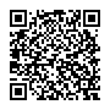 QR code for NHA393