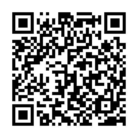 QR code for NIA 313